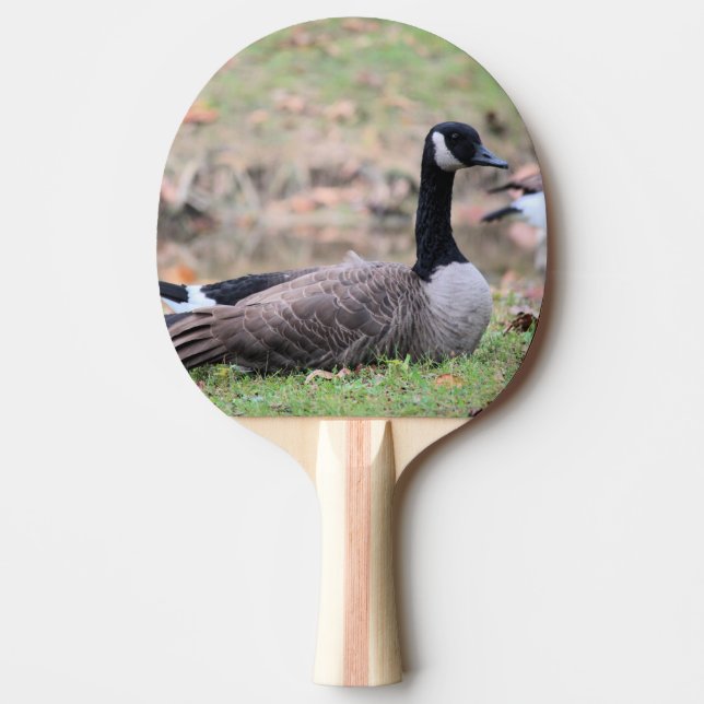 Goose Ping Pong Paddle Pingisracket (Framsidan)