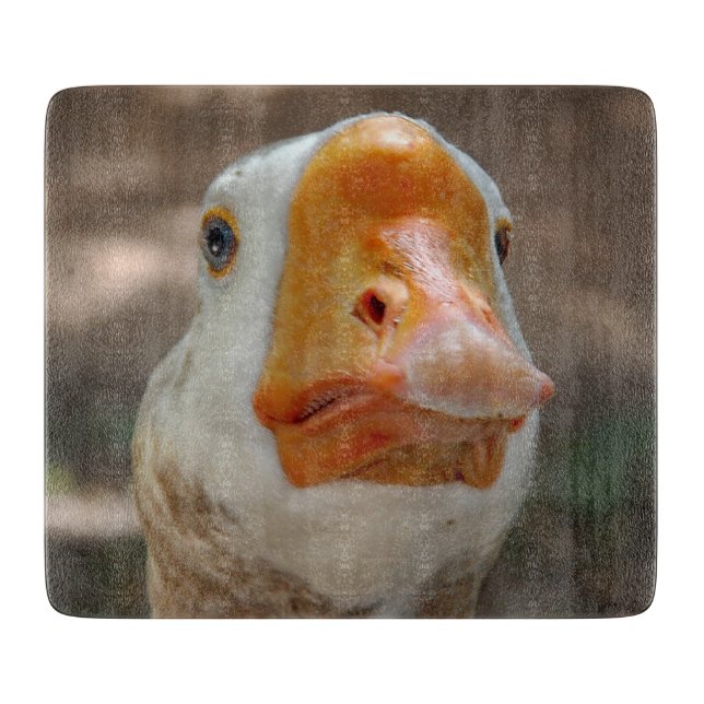 Goose Porträtt (Framsidan)