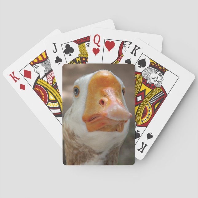 Goose Porträtt Casinokort (Baksidan)