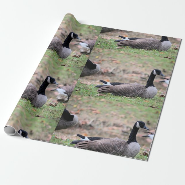 Goose Presentpapper (Utrullad)
