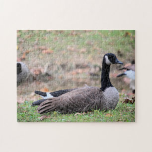 Goose Pussel
