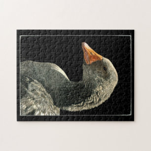 Goose Puzzle - Lucy Pussel