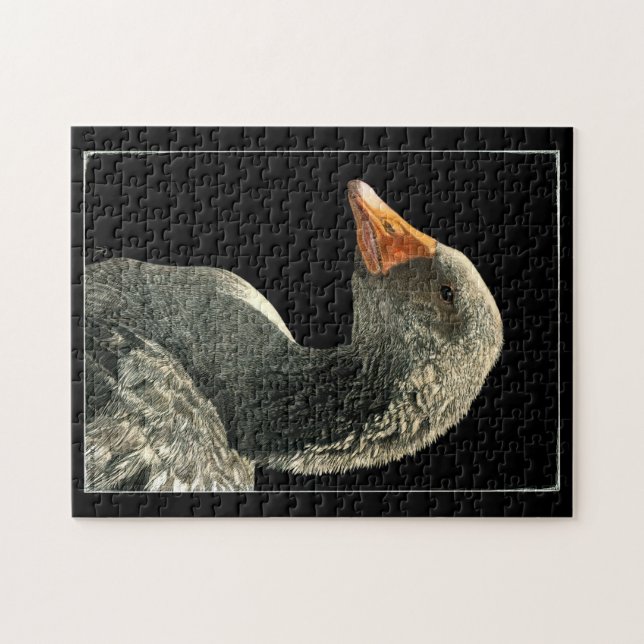 Goose Puzzle - Lucy Pussel (Horisontell)