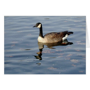 Goose Reflection Card Hälsningskort