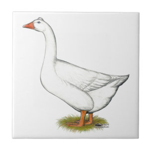Goose Roman Tuabled Kakelplatta