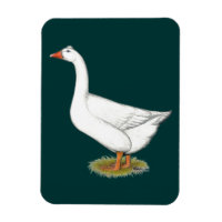 Goose Roman Tuabled