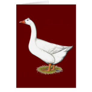 Goose Roman Tuabled OBS Kort