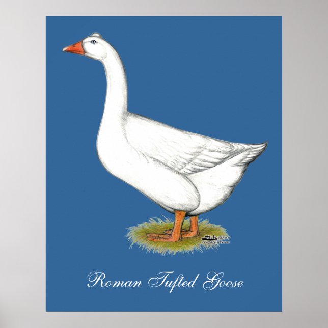 Goose Roman Tuabled Poster (Framsidan)