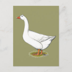 Goose Roman Tuabled Vykort