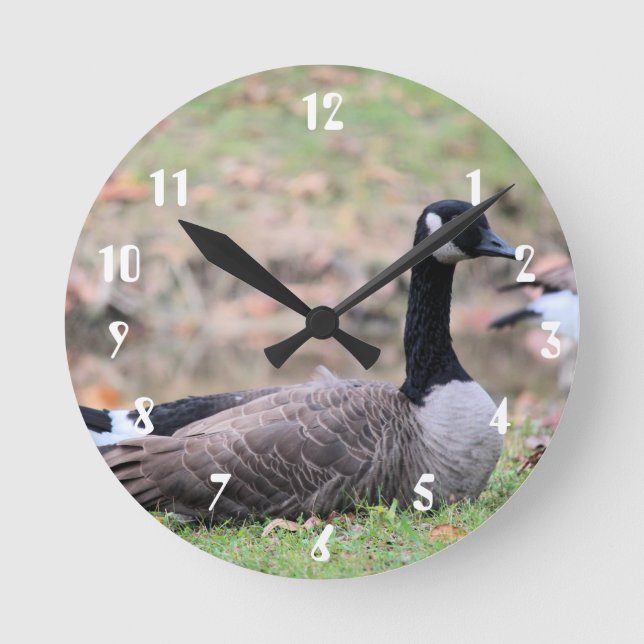 Goose Rund Klocka (Framsida)