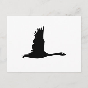 Goose Silhouette i Black on White Vykort