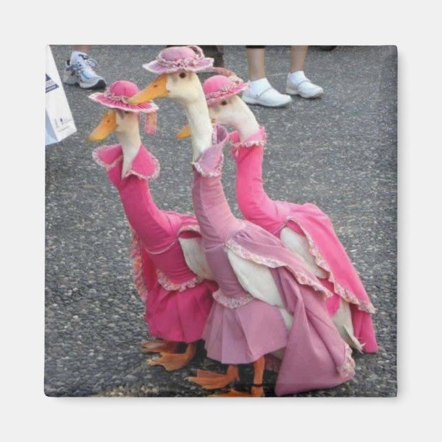 Goose sisters Magnet (Framsidan)