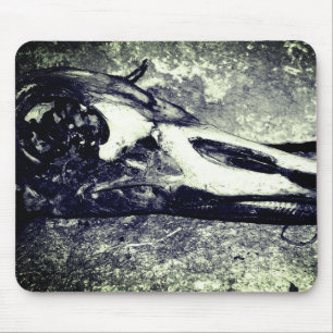 Goose Skull Musmatta