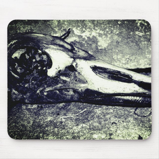 Goose Skull Musmatta (Framsidan)