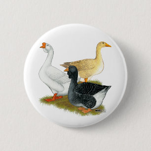 Goose Trio Knapp