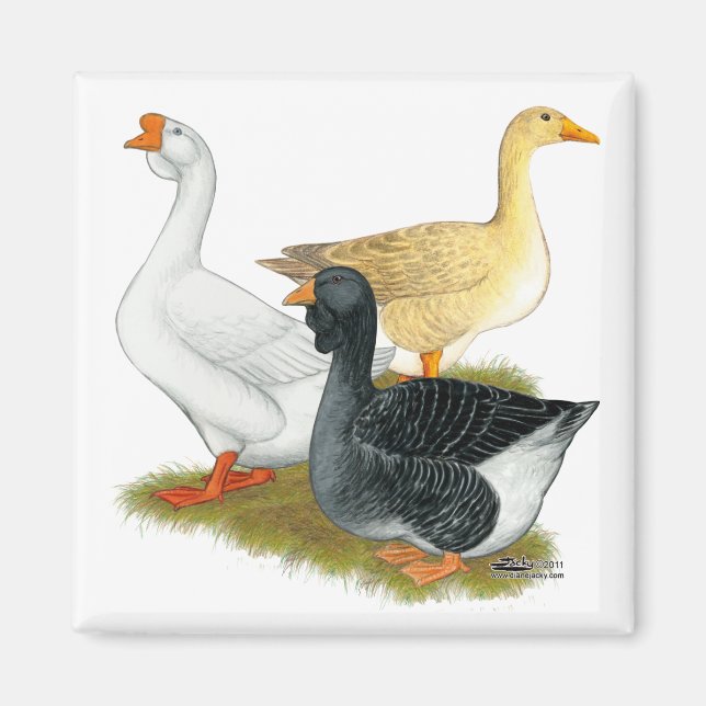 Goose Trio Magnet (Framsidan)