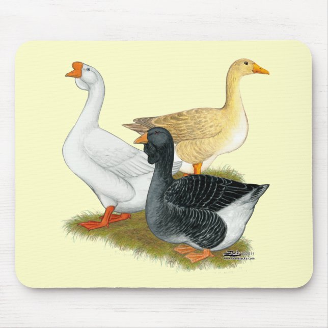 Goose Trio Musmatta (Framsidan)
