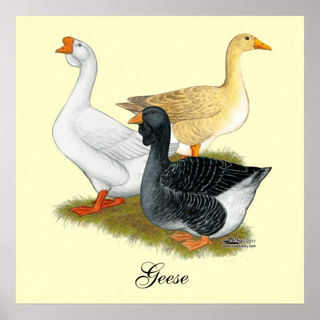 Goose Trio Poster (Framsidan)