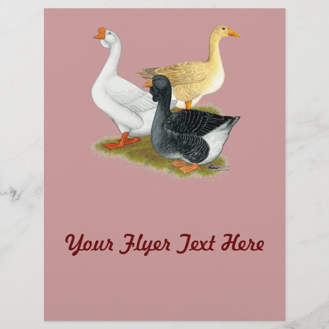 Goose Trio Reklamblad (Framsidan)