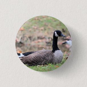 Goose truckerkeps knapp