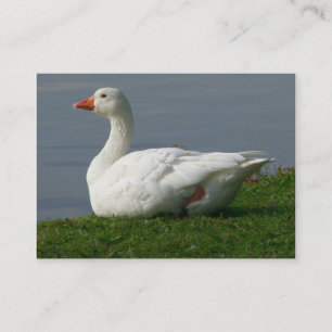 Goose Visitkort