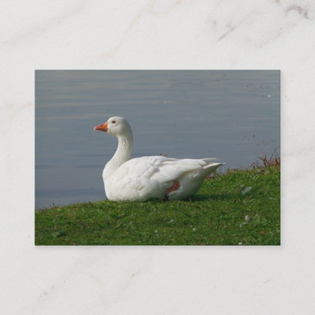 Goose Visitkort (Framsida)