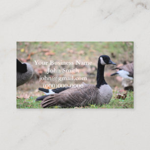 Goose Visitkort