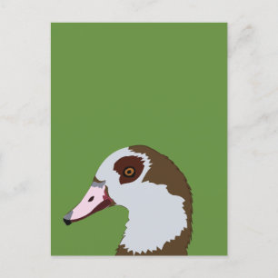 Goose Waterfowl Bird Goose Vykort