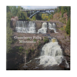 Gooseberry Falls tile Kakelplatta