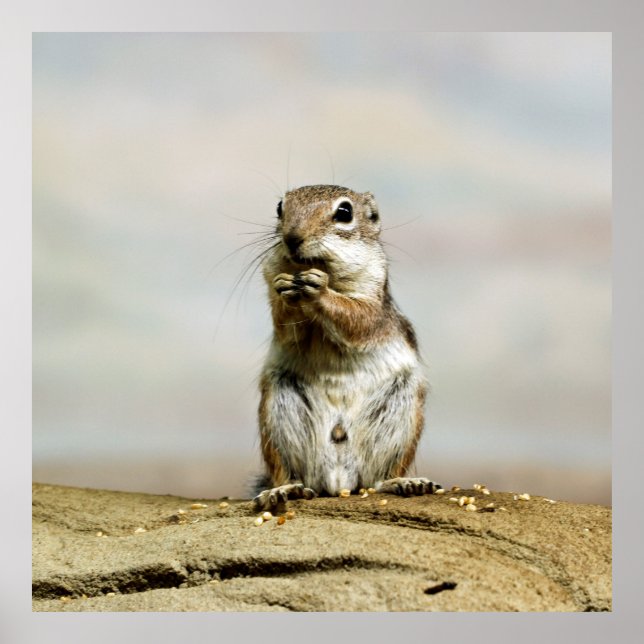 Gopher_005 Poster (Framsidan)