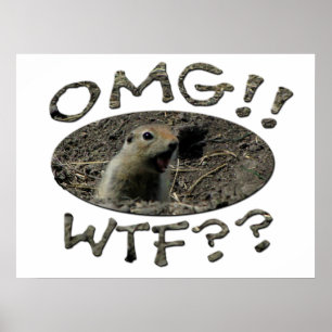 Gopher för OMG WTF Poster
