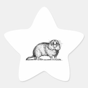 Gopher Stjärnformat Klistermärke