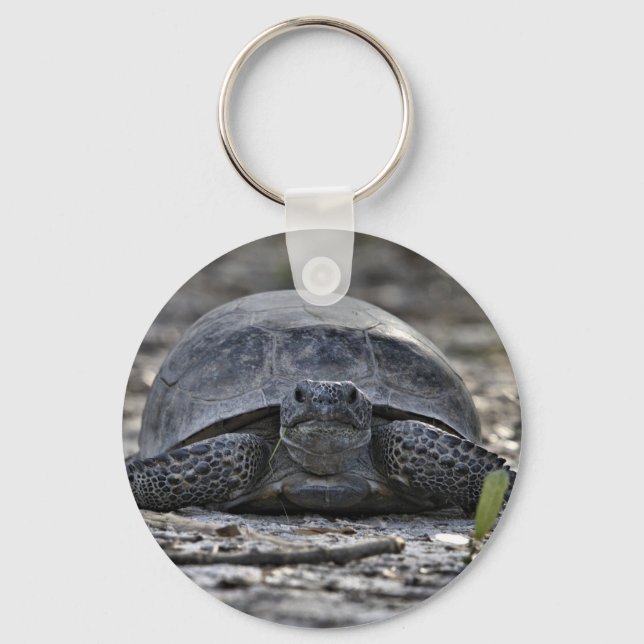 Gopher Tortoise Photo Keychain Nyckelring (Framsida)