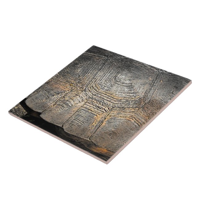 Gopher Tortoise Snäcka Design Kakelplatta (Sidan)