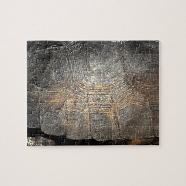 Gopher Tortoise Snäcka Pussel (Horisontell)