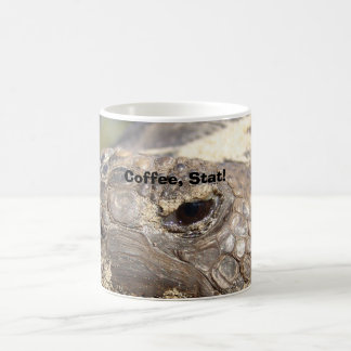 Gophersköldpadda, kaffe, statistik! kaffemugg