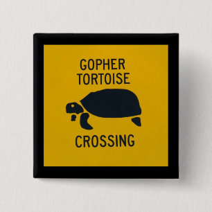 Gophersköldpadda som korsar 2 knapp
