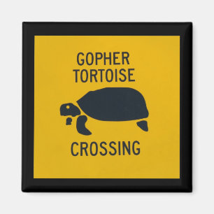 Gophersköldpaddakorsning Magnet