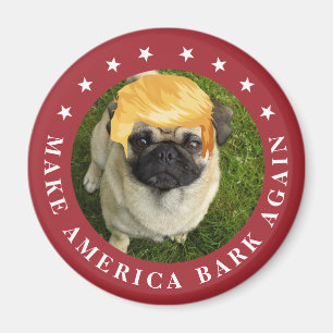 Gör Amerika att skälla igen din hund med Magnet