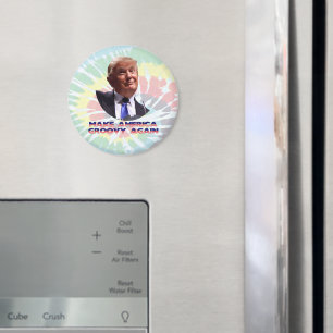 Gör Amerika Groovy till tifärgrum-runda magnet