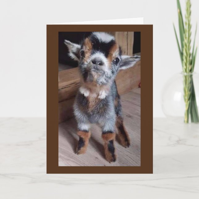 GÖR BABY GOAT EN FAVOR "HA EN LYCKLIG 30års födels Kort (Framsida)