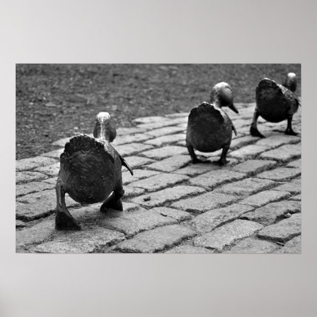 Gör det möjligt för Ducklings Poster (Framsidan)