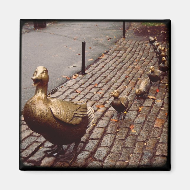 Gör det möjligt för fästingar magnet (Framsidan)