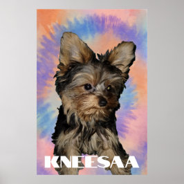 Gör det personligt! Tie Dye Husdjursfoto & Namn Poster