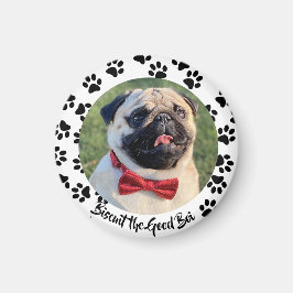 Gör det till en marionettHund Magnet