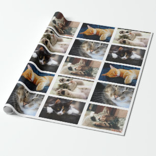 Gör din egen 5-fotosamling på vitt presentpapper