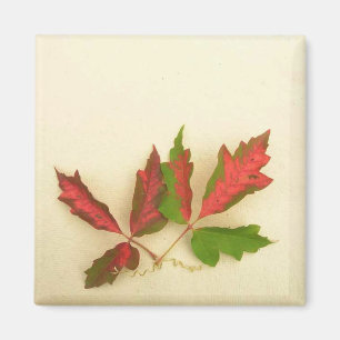 Gör din egen magnet - Fall Pin Oak Löv