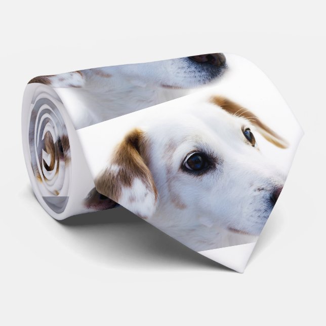 Gör din egna Tie Slips (Rullad)