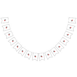 Gör din evenemangspop med kvalitetsbuntbanderoller vimplar