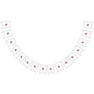 Gör din evenemangspop med kvalitetsbuntbanderoller vimplar